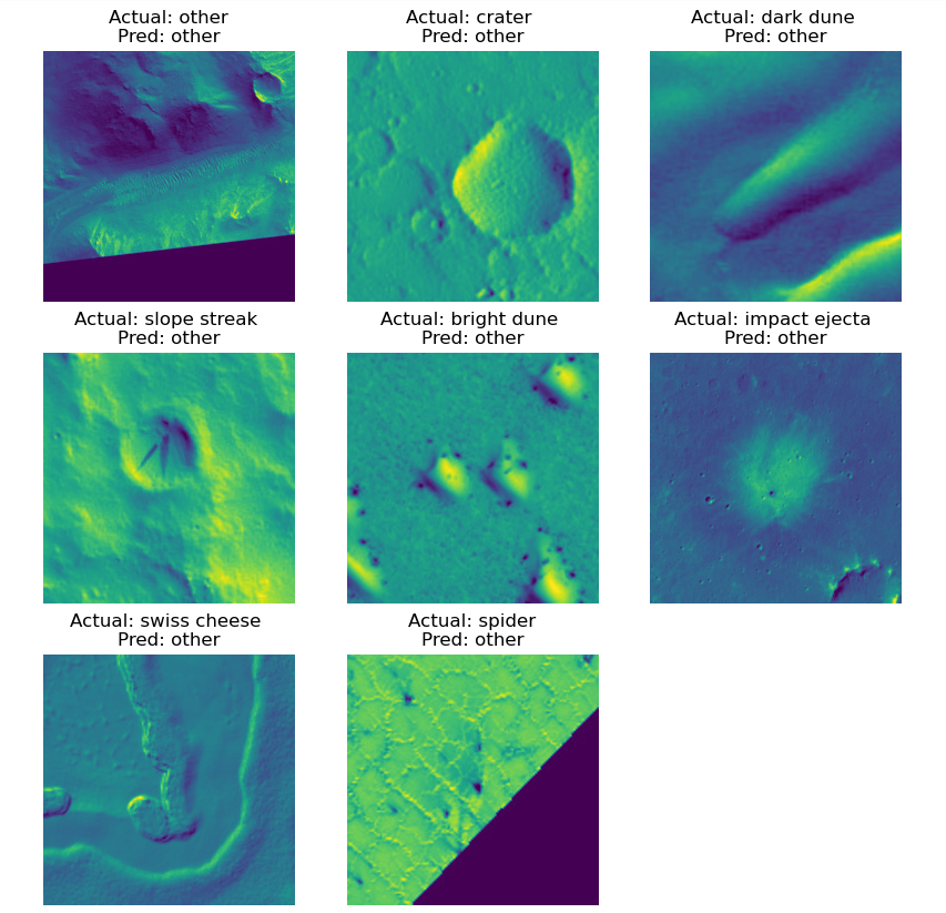 Example Images With Actual VS Predicted Labels